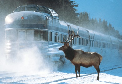 Highlights of Canada at Christmas