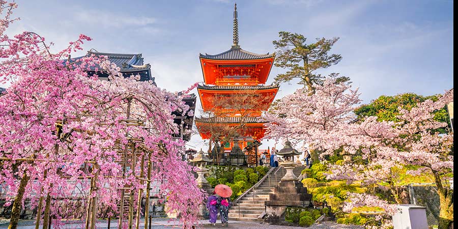 Pink sakura blossoms surround a traditional red Japanese pagoda.