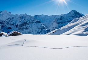 Jungfrau Railway