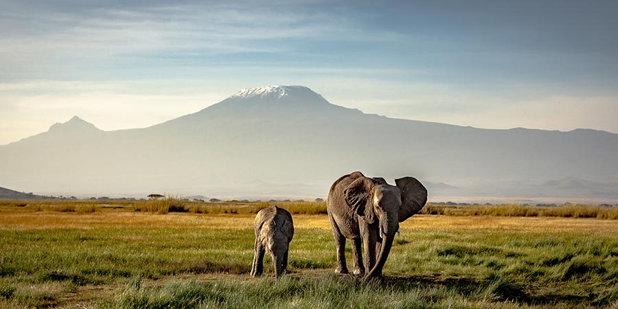 Mt Kilimanjaro