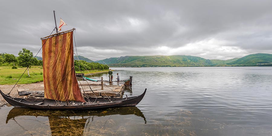 Viking ships sit on the water near a grassy field. 