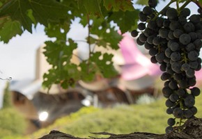 Basilica Pillar, Zaragoza