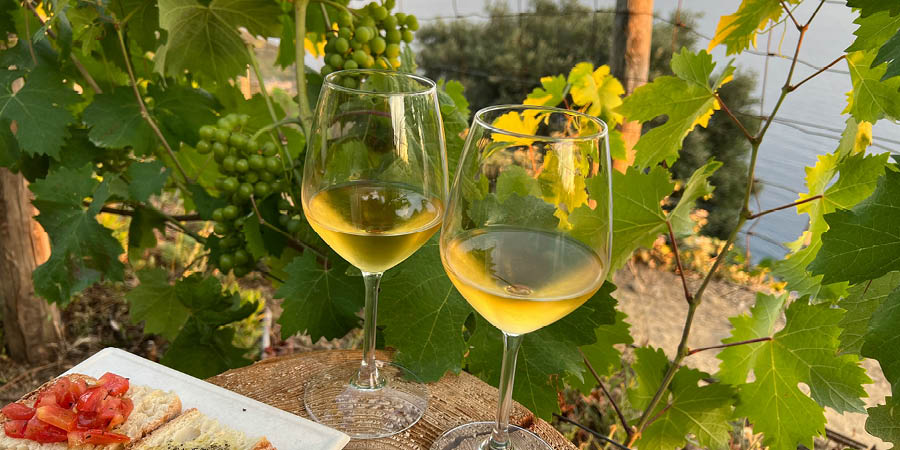 Visiting a vineyard for lunch & dining on the beach