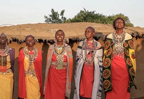 Kenya Game Drive