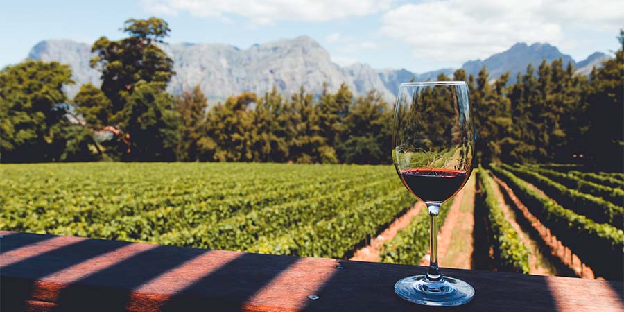 Tasting superb wines on the Franschhoek wine tram